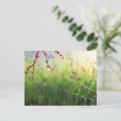 Edelsteine eines Frühlingsvormittags Postkarte (Stehend Vorderseite)