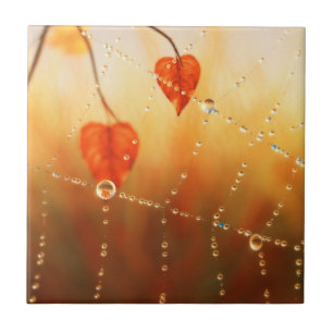 Edelsteine eines Herbstvormittags dekorative Tile  Fliese