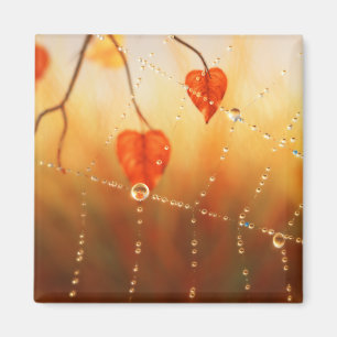 Edelsteine eines Herbstvormittagsmagazins Magnet