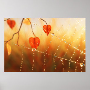 Edelsteine eines Herbstvormittdrucks Poster