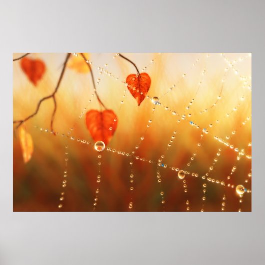 Edelsteine eines Herbstvormittdrucks Poster (Vorne)