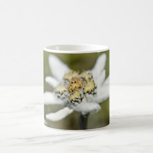 Edelweiss-AlpenBlume Kaffeetasse