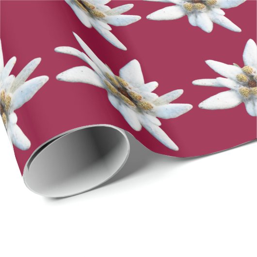 Edelweiss alpine Blume Geschenkpapier (Rolleneckpunkt)