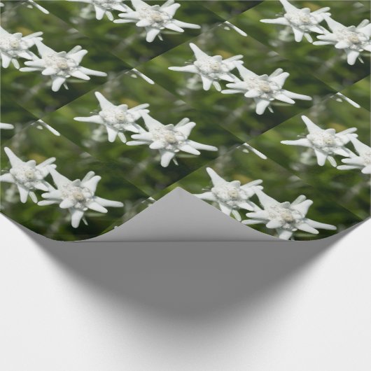 Edelweiss alpine Blume Geschenkpapier (Ecke)