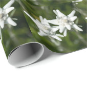 Edelweiss alpine Blume Geschenkpapier (Rolleneckpunkt)