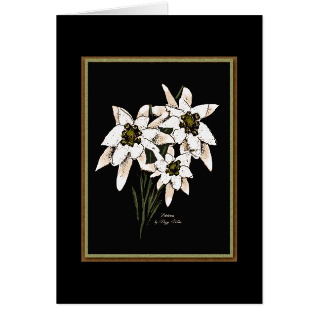 Edelweiss-Blume (Vorne)