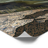 Edelweiss Blume Art Print Poster (Ecke)