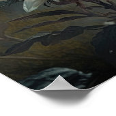 Edelweiss Blume Art Print Poster (Ecke)