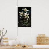 Edelweiss-Blume Art Print Poster (Küche)