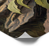 Edelweiss Blume Art Print Poster (Ecke)