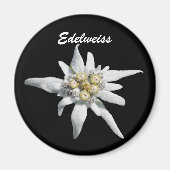 Edelweiss Blume Bloom Magnet (Vorne)