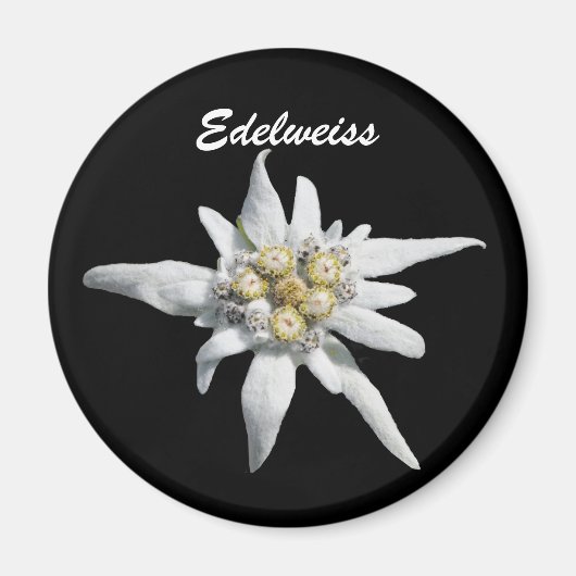 Edelweiss Blume Bloom Magnet (Vorne)