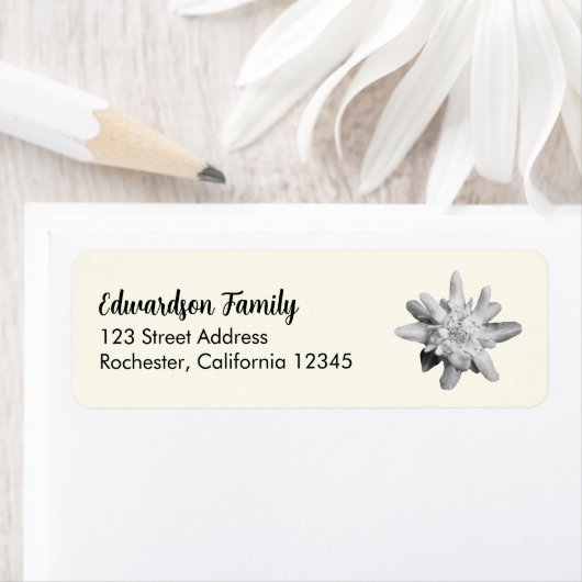 Edelweiss Blume Familienname Rücksendeadresse (Insitu)