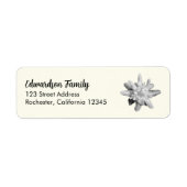 Edelweiss Blume Familienname Rücksendeadresse (Vorne)