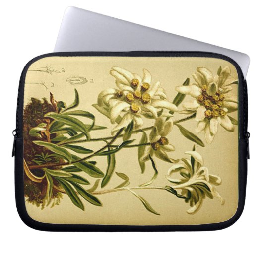 Edelweiss Blume Laptop Sleeve Pouch Case (Vorderseite)