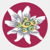 Edelweiss-Blume Runder Aufkleber (Vorderseite)