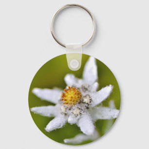 Edelweiss-Blume Schlüsselanhänger