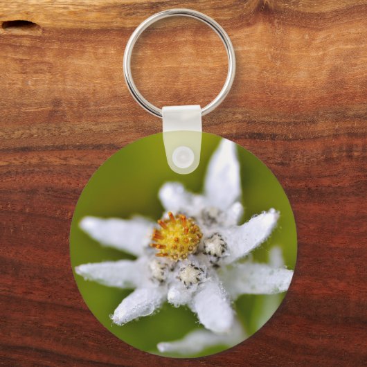 Edelweiss-Blume Schlüsselanhänger (Vorderseite)