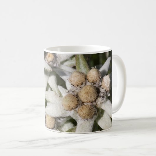 Edelweiss Blume Tasse (VorderseiteRechts)