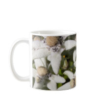 Edelweiss Blume Tasse