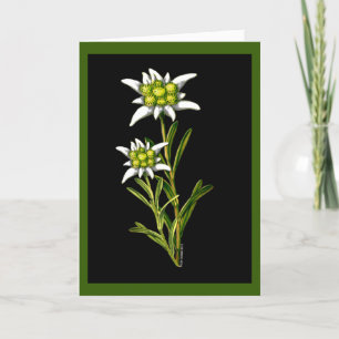 Edelweiss Custom Grußkarte Karte