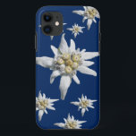 Edelweiss Fall auf dunkelblauem Hintergrund iPhone 11 Hülle<br><div class="desc">Edelweiss Blume vom Alpes auf einem dunkelblauen Hintergrund</div>