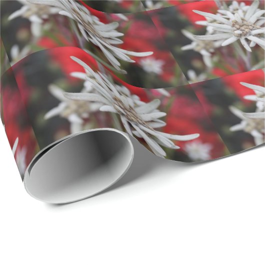 Edelweiss-gepoltes Muster Geschenkpapier (Rolleneckpunkt)