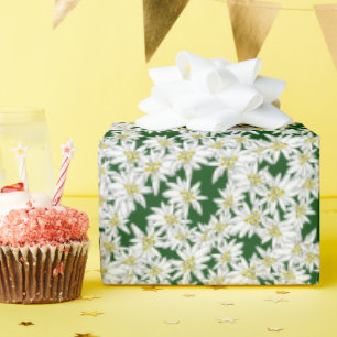 Edelweiss HandGezeichnet Musik Alpenflora Geschenkpapier