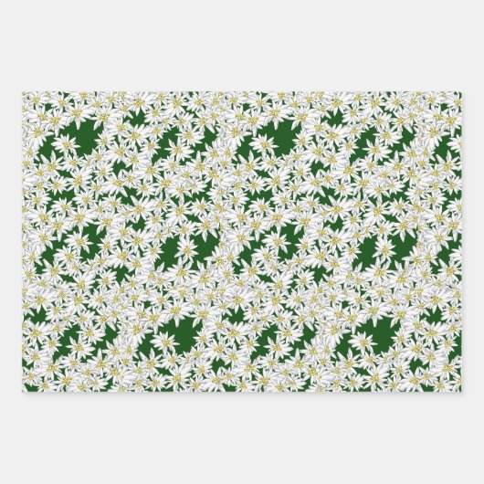 Edelweiss HandGezeichnet Musik Alpenflora Geschenkpapier Set (Vorderseite 3)