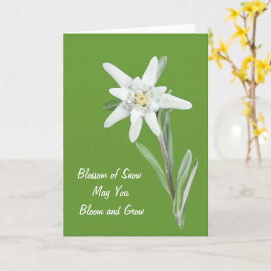 Edelweiss Karte (Gelbe Blume)