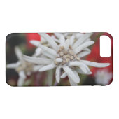 Edelweiss Leontopodium nivale Case-Mate iPhone Hülle (Rückseite (Horizontal))