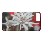Edelweiss Leontopodium nivale Case-Mate iPhone Hülle (Rückseite (Horizontal))