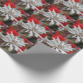 Edelweiss Leontopodium nivale Geschenkpapier (Ecke)