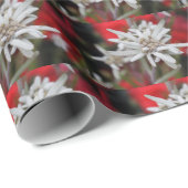Edelweiss Leontopodium nivale Geschenkpapier (Rolleneckpunkt)