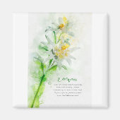 Edelweiss Magnet (Vorne)