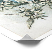 Edelweiss Poster (Ecke)