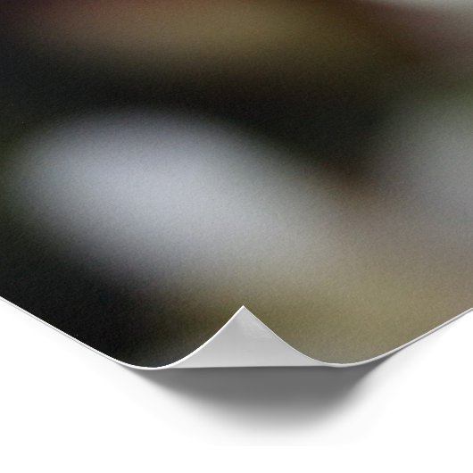 Edelweiss Poster (Ecke)