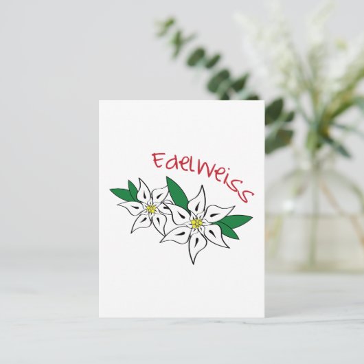 Edelweiss Postkarte (Stehend Vorderseite)