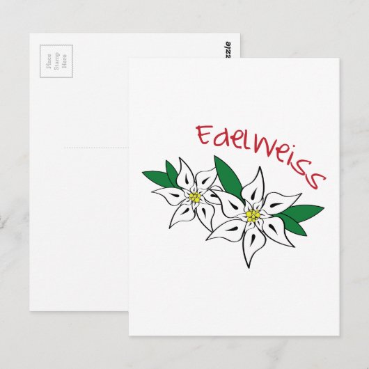 Edelweiss Postkarte (Vorne/Hinten)