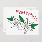Edelweiss Postkarte (Vorne/Hinten)
