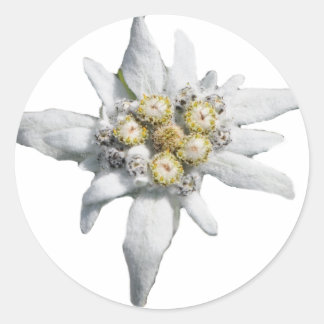 Edelweiss Runder Aufkleber