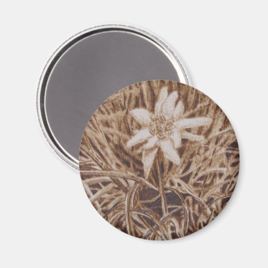 Edelweiss - Stella alpina Magnet (Vorderseite/Rückseite)