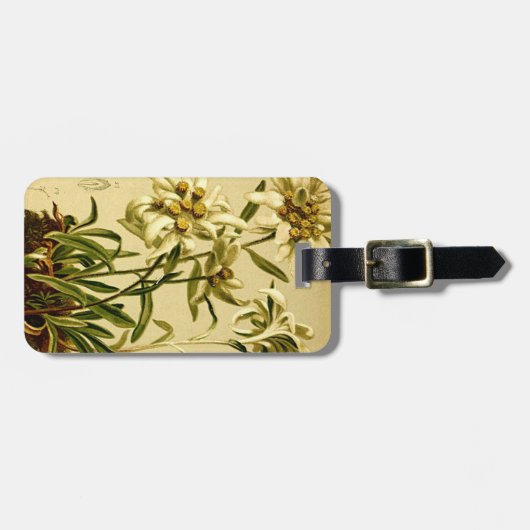 Edelweiss Umbau Gepäckanhänger (Vorderseite horizontal)