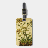 Edelweiss Umbau Gepäckanhänger (Vorderseite vertikal)