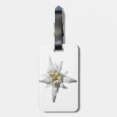 Edelweiss Umbau Gepäckanhänger (Rückseite vertikal)