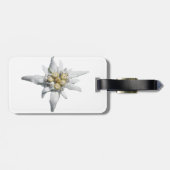 Edelweiss Umbau Gepäckanhänger (Rückseite horizontal)