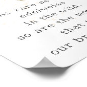 Edelweiss Wildblume Poster (Ecke)