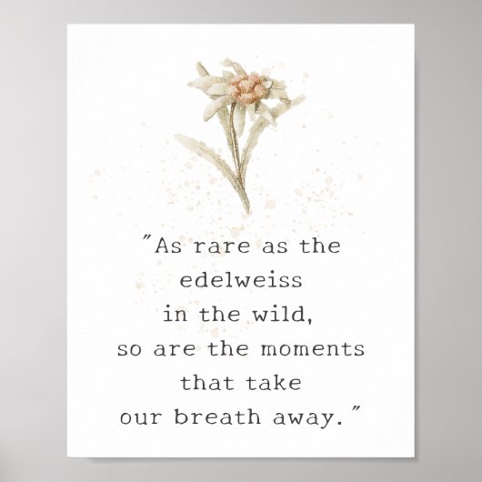 Edelweiss Wildblume Poster (Vorne)