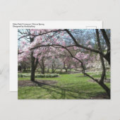 Eden Park Cincinnati, Ohio im Frühjahr Postkarte (Vorne/Hinten)