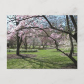 Eden Park Cincinnati, Ohio im Frühjahr Postkarte (Vorderseite)